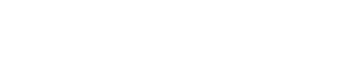 Logo aniversario pie